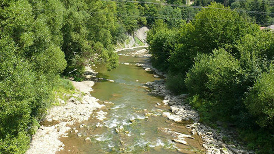Орава